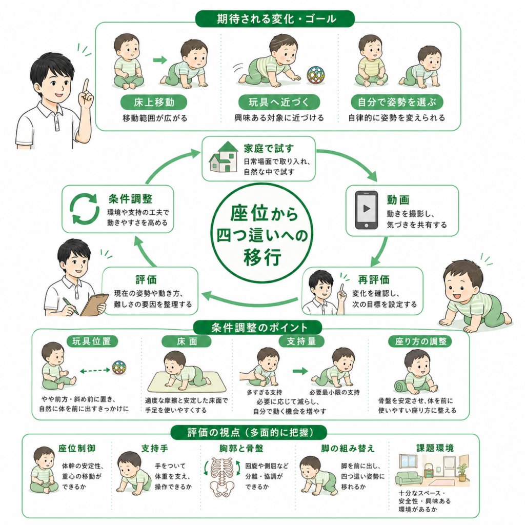 坐位から四つ這いへの移行