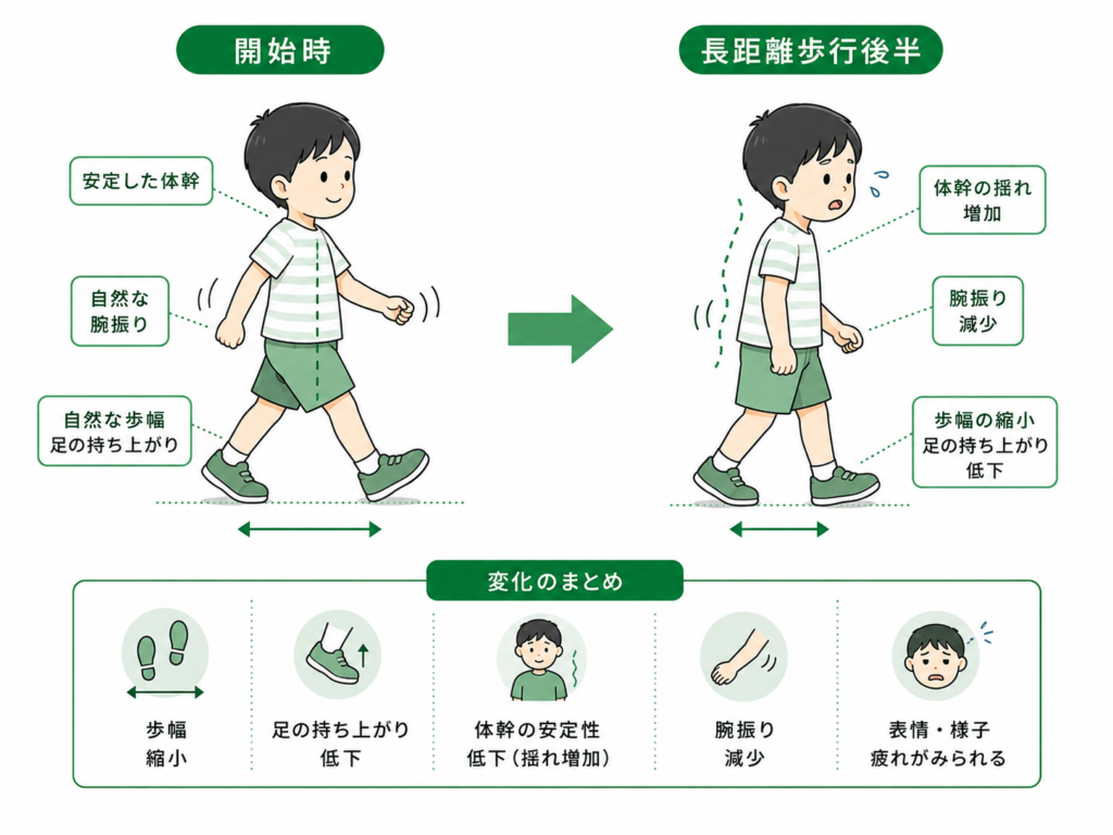 開始時と長距離歩行時