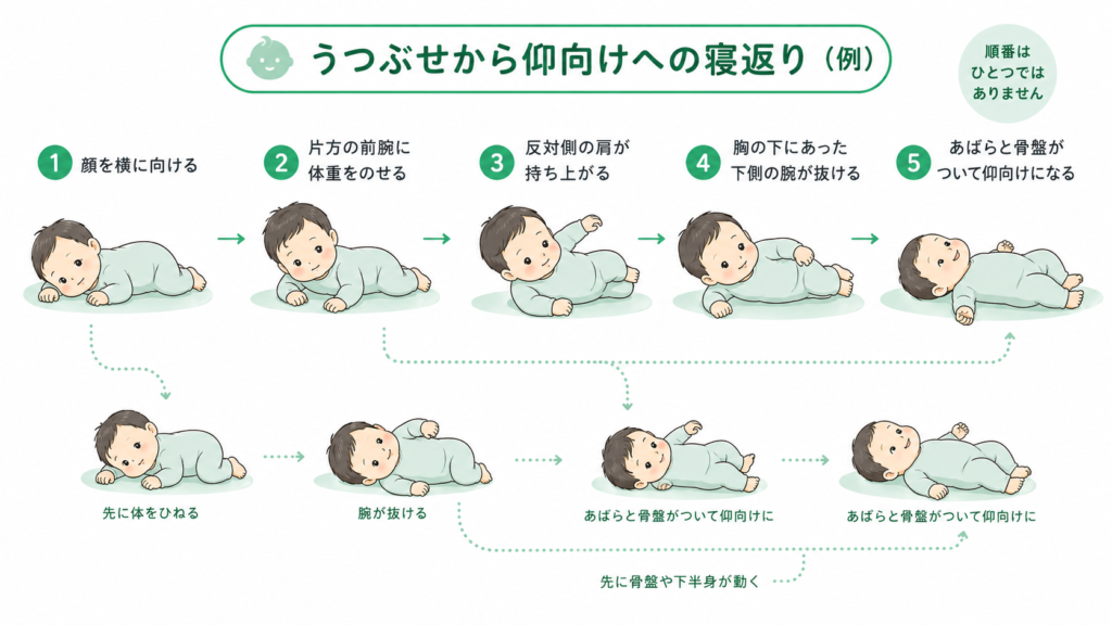 うつ伏せから仰向けへの寝返り