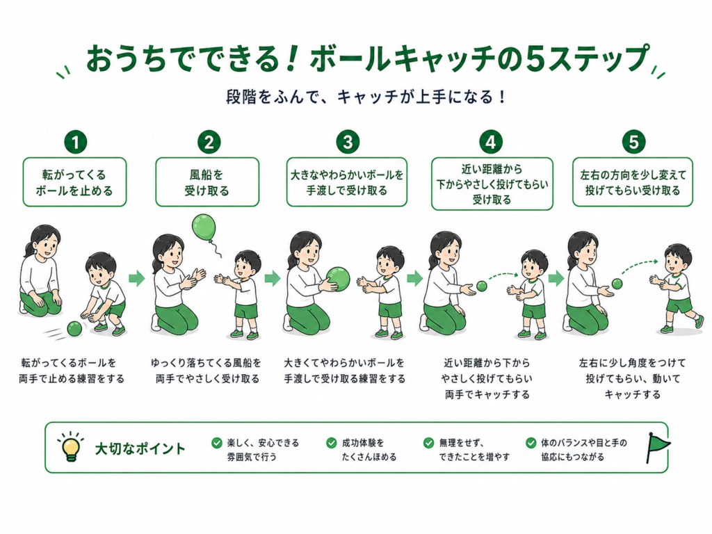 お家で出来るボールキャッチの5つのステップ