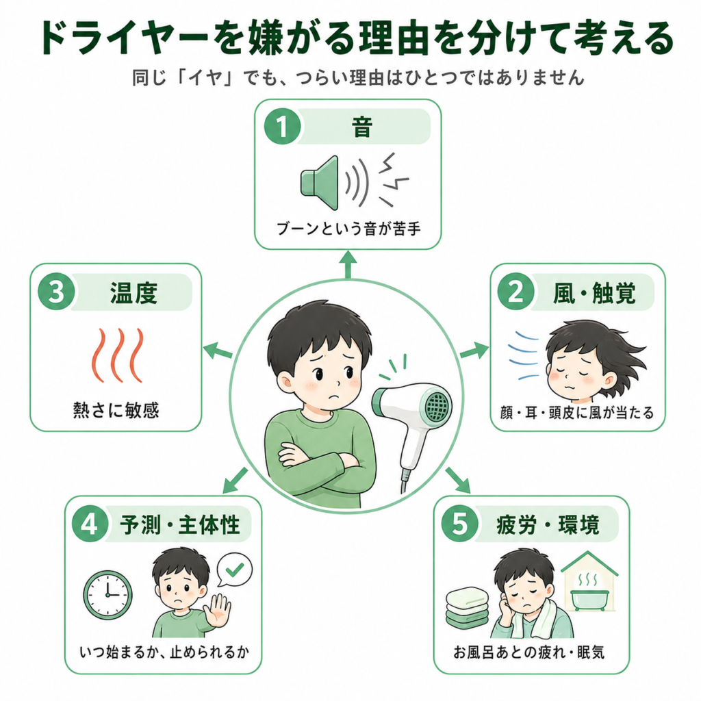ドライヤーを嫌がる理由を分けてみる