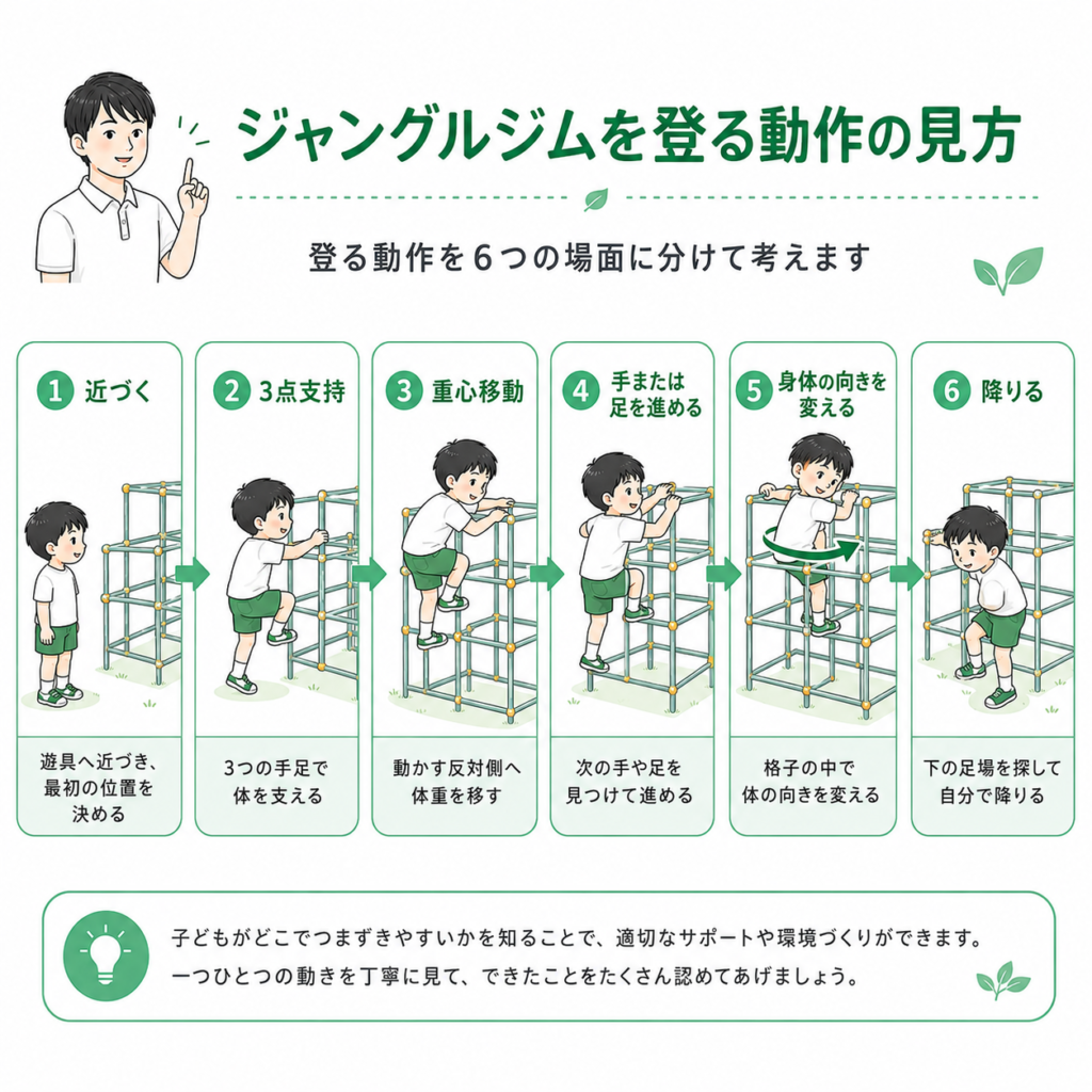 ジャングルジムを上る動作のみかた