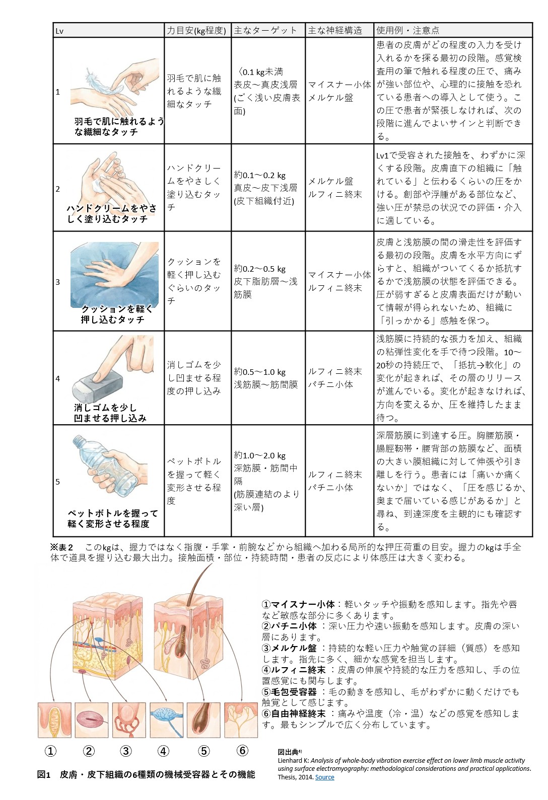 タッチ圧の5段階表 — 触れ方を設計する