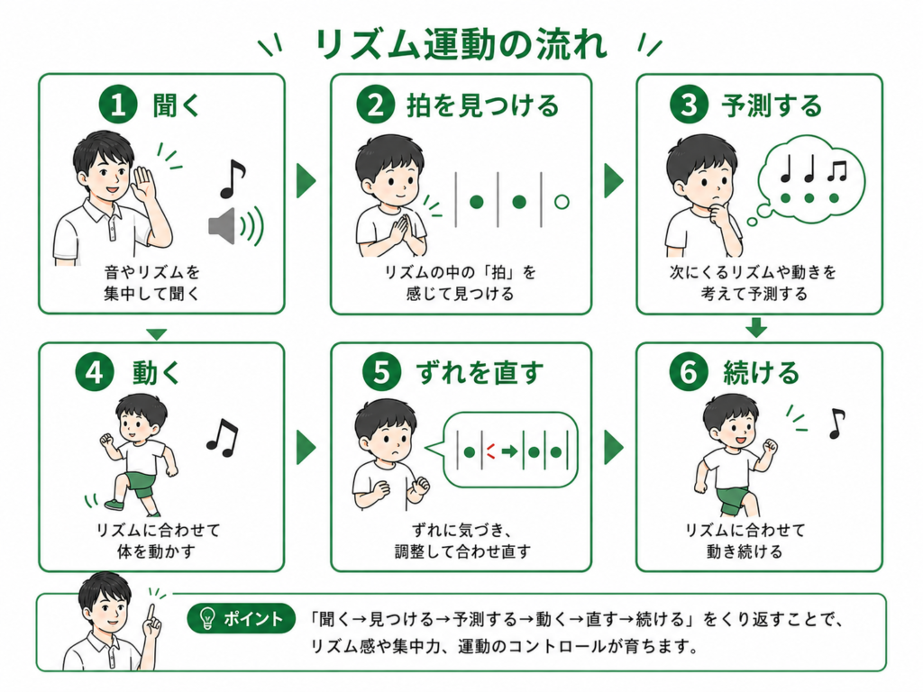 リズム運動の流れ