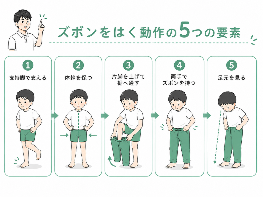 ズボンを履く動作の5つの要素