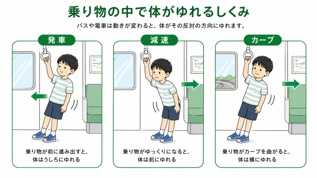 乗り物で体が揺れる仕組み