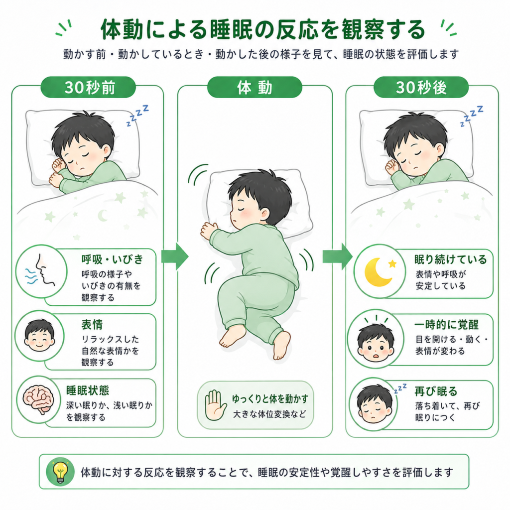 体動による睡眠の反応を観察