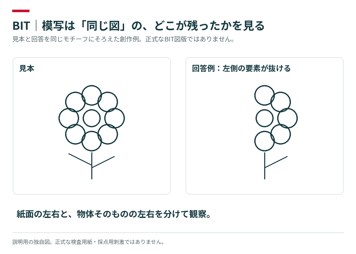 花の見本と左側の描き落としのある模写例