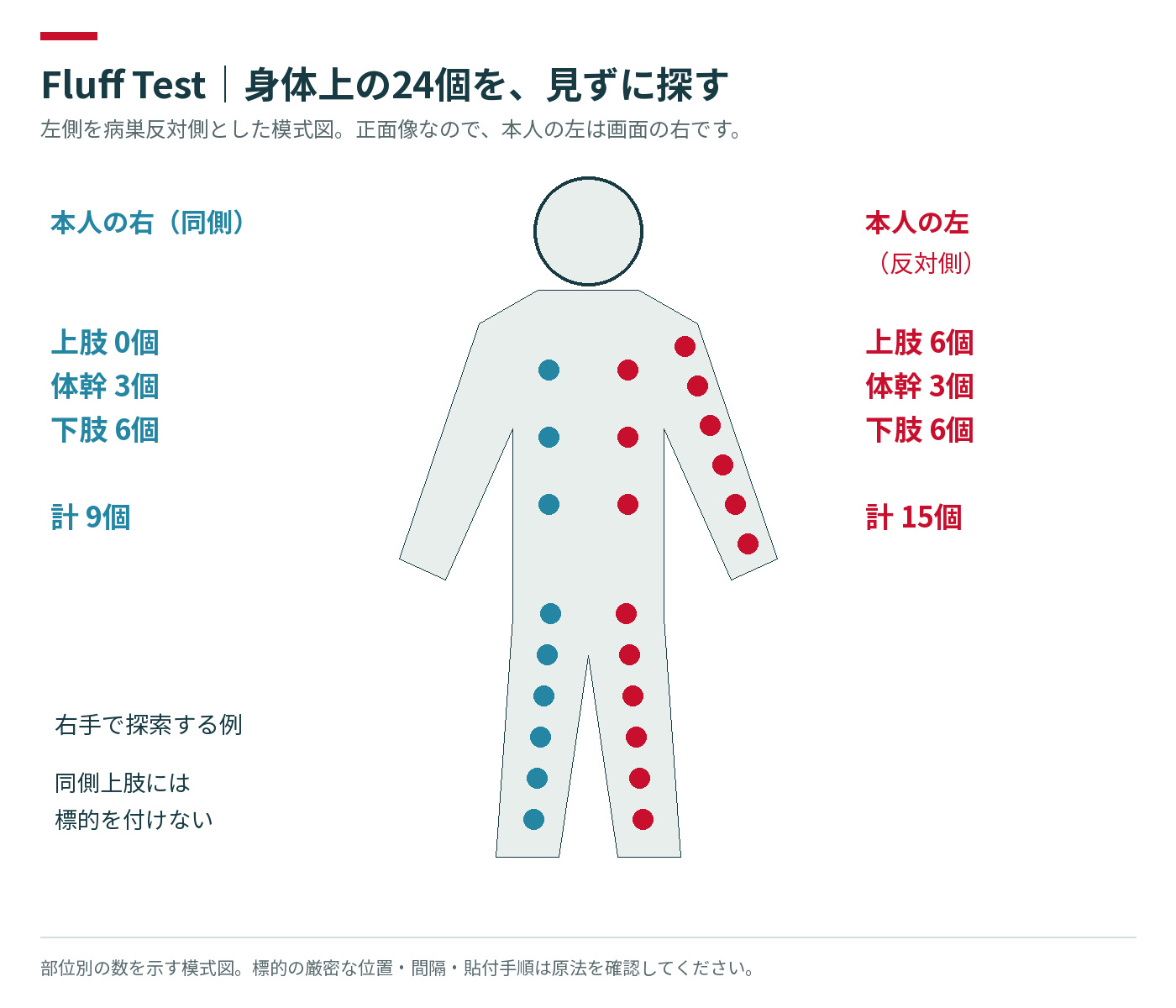 本人の左右と24個の標的の部位別内訳を示した図